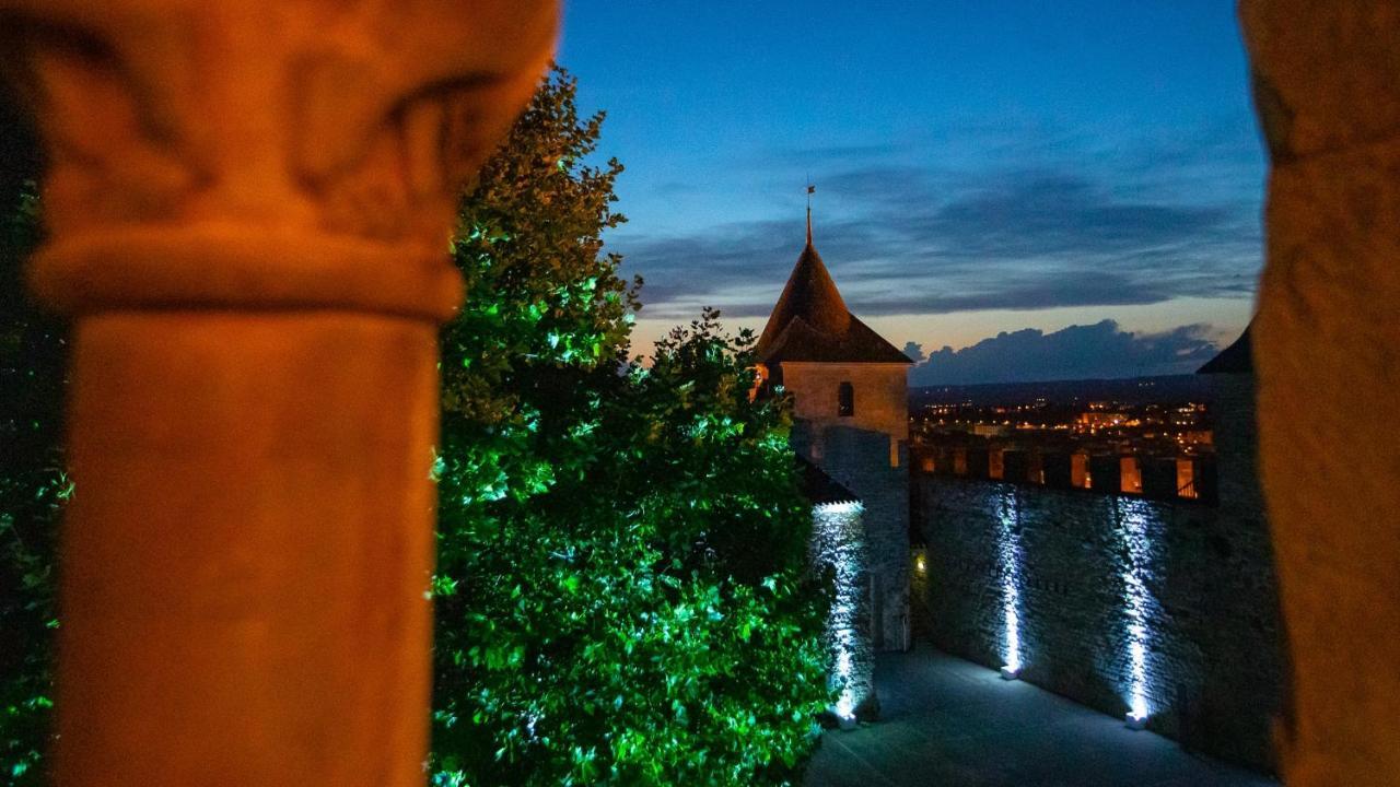 Tout Confort ! Climatisation, Calme, Piscine, Parking Gratuit, Terrasse, Wifi Каркасон Екстериор снимка